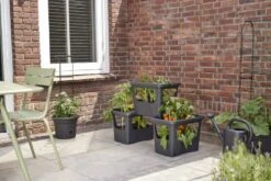 Elho Plantenbak Green Basics Stack & Grow Large Zwart -TuinPracht Winkel elho plantenbak green basics stack grow large zwart 800x534 620e3d4fc59c1 l