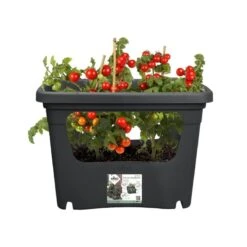 Elho Plantenbak Green Basics Stack & Grow Large Zwart -TuinPracht Winkel elho plantenbak green basics stack grow large zwart 800x800 620e3d4eed857 l