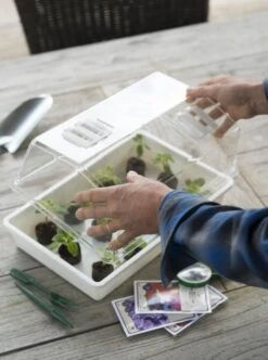 Nature Deksel Voor Kweekbak 55x31cm 6 Nature Deksel Voor Kweekbak 55x31cm -TuinPracht Winkel nature deksel voor kweekbak 55x31cm 595x800 6214a0230c942 l