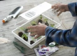 Nature Deksel Voor Kweekbak 55x31cm 7 Nature Deksel Voor Kweekbak 55x31cm -TuinPracht Winkel nature deksel voor kweekbak 55x31cm 800x587 6214a0233f631 l