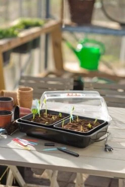 Nature Kweekkas Verwarmd 38x24cm -TuinPracht Winkel nature kweekkas verwarmd 38x24cm 534x800 6214a026e40ab l