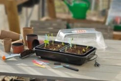 Nature Kweekkas Verwarmd 38x24cm -TuinPracht Winkel nature kweekkas verwarmd 38x24cm 800x534 6214a0269747c l