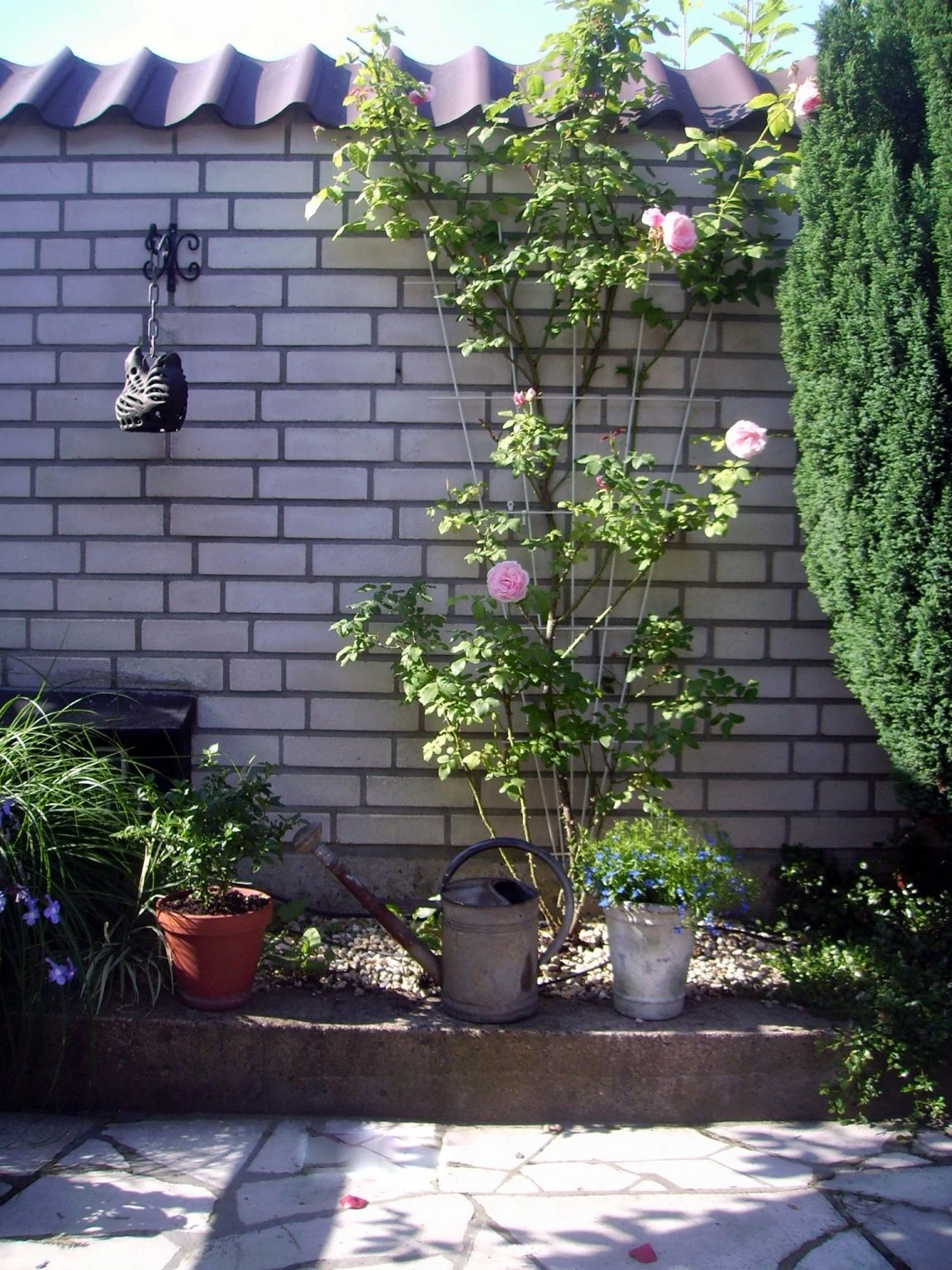 Nature Metalen Klimrek Grijs In V-vorm- H145x5/75cm 2 Nature Metalen Klimrek Grijs In V-vorm- H145x5/75cm - Afbeelding 2