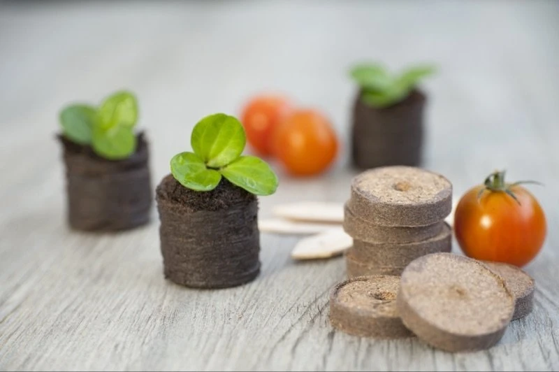 Nature Turftabletten 48st 3 Nature Turftabletten 48st - Afbeelding 3